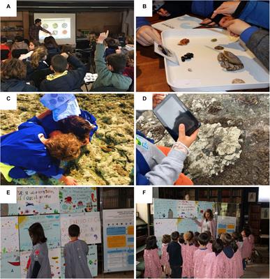 Promoting Ocean Literacy in Elementary School Students Through Investigation Activities and Citizen Science